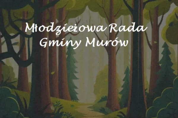 Ankieta dla młodzieży: podziel się pomysłem na wydarzenia i inicjatywy