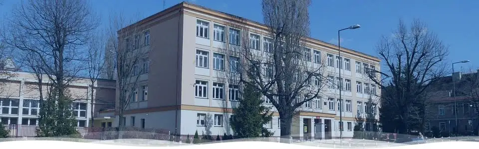 Uczeń z Opola z wyróżnieniem „Opolskie Orły” za osiągnięcia naukowe