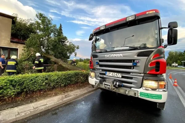 Szkolenie operatorów drabin mechanicznych zakończone egzaminem