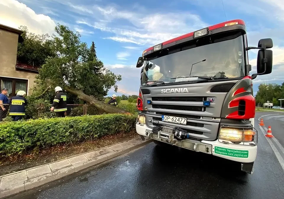 Szkolenie operatorów drabin mechanicznych zakończone egzaminem