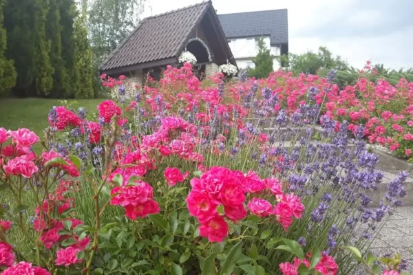 Piknik Rodzinny w ramach Dni Wolbromia 2026 – bezpłatna atrakcja dla całych rodzin