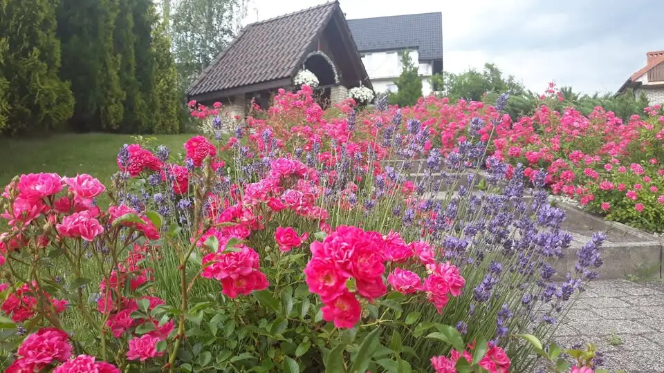 Piknik Rodzinny w ramach Dni Wolbromia 2026 – bezpłatna atrakcja dla całych rodzin