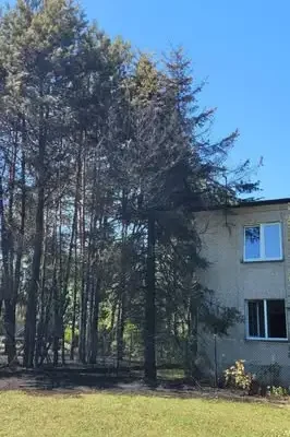 Pożar roślinności na ulicy Okulickiego – interwencja OSP Popielów