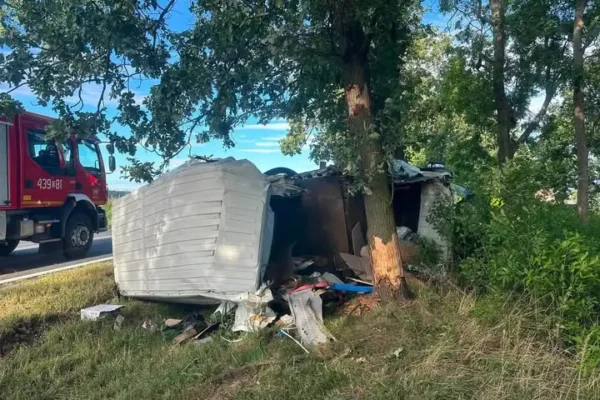 Wypadek na DK11: dostawczy fiat uderzył w drzewo między Kostowem a Gołkowicami