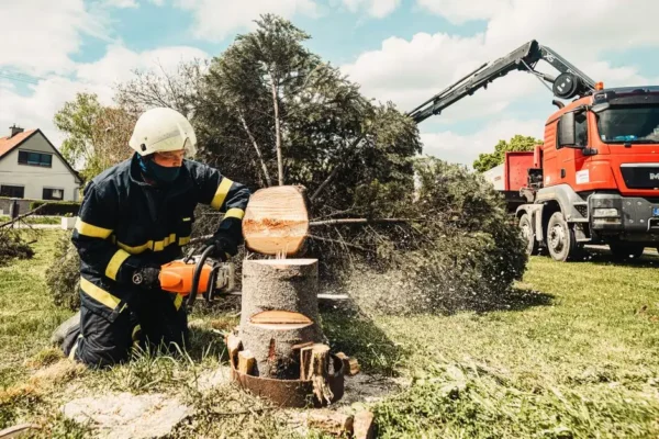 Drzewo na drodze w Szydłowie – interwencja OSP Komprachcice