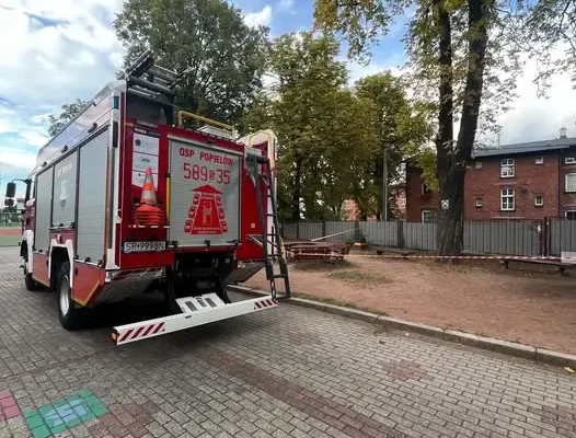 Strażacy z OSP Popielów usunęli gniazdo owadów w Szkole Podstawowej nr 13