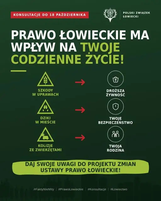 Trwają konsultacje społeczne projektu zmian w prawie łowieckim – zgłoś swoją opinię do 18 października