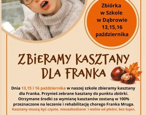 Zbiórka kasztanów dla Franka Mruga – Szkoła Podstawowa w Dąbrowie włącza się do akcji