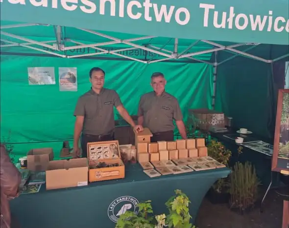 Wojewódzkie Święto Karpia w Niemodlinie – Lasy Państwowe też hodują ryby